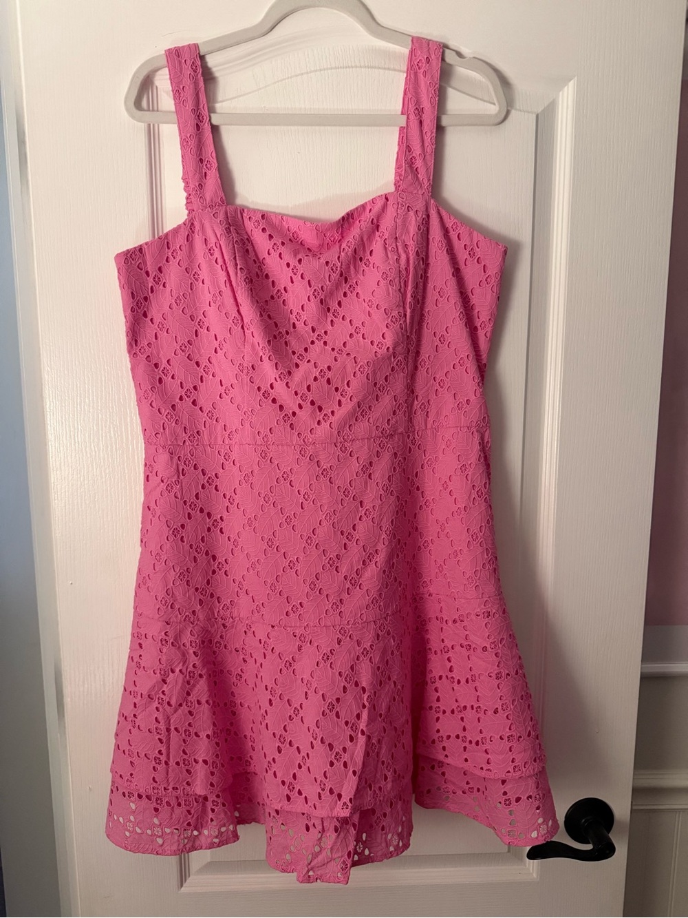 Draper James Sachet Pink Eyelet Mini Dress